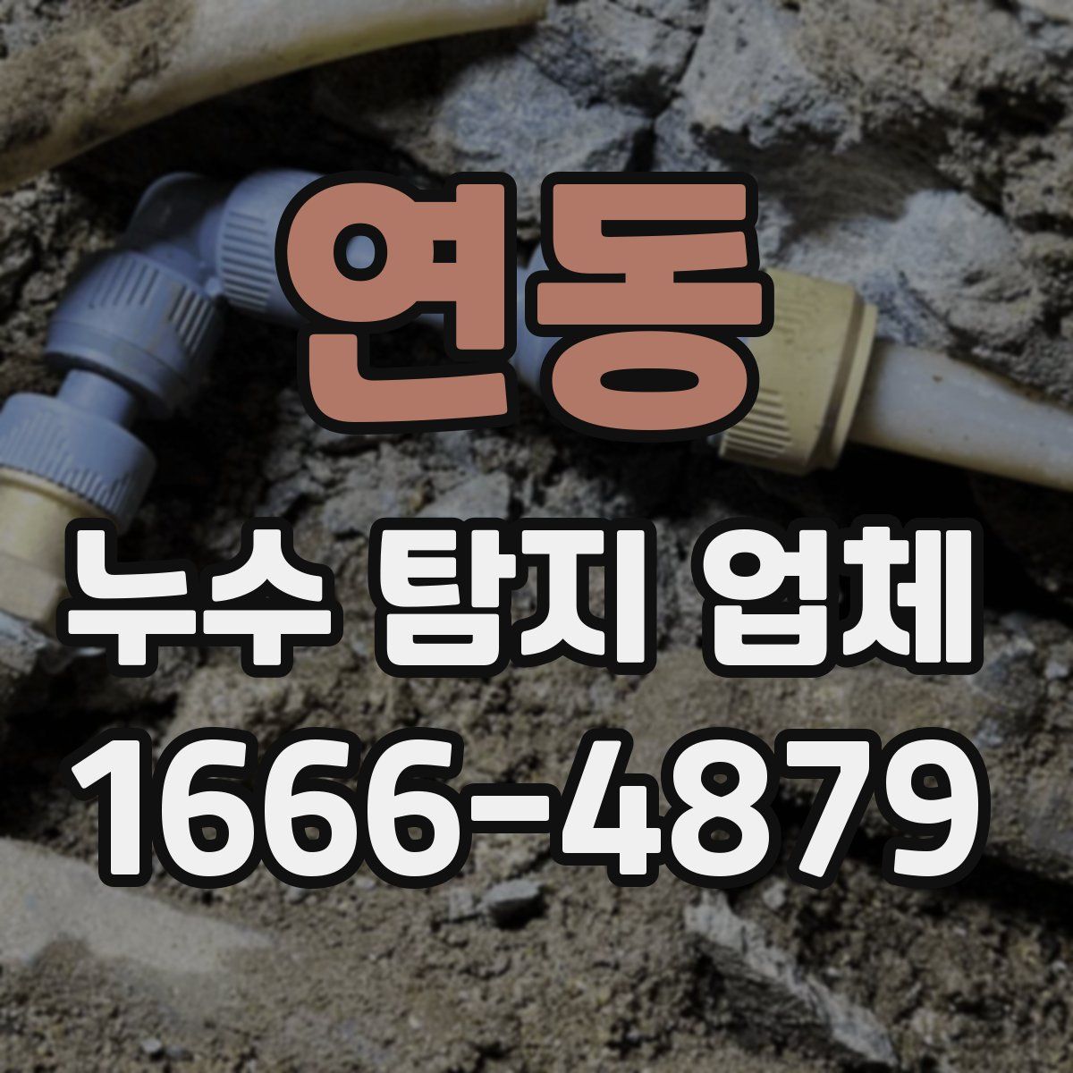 연동 누수 탐지 업체