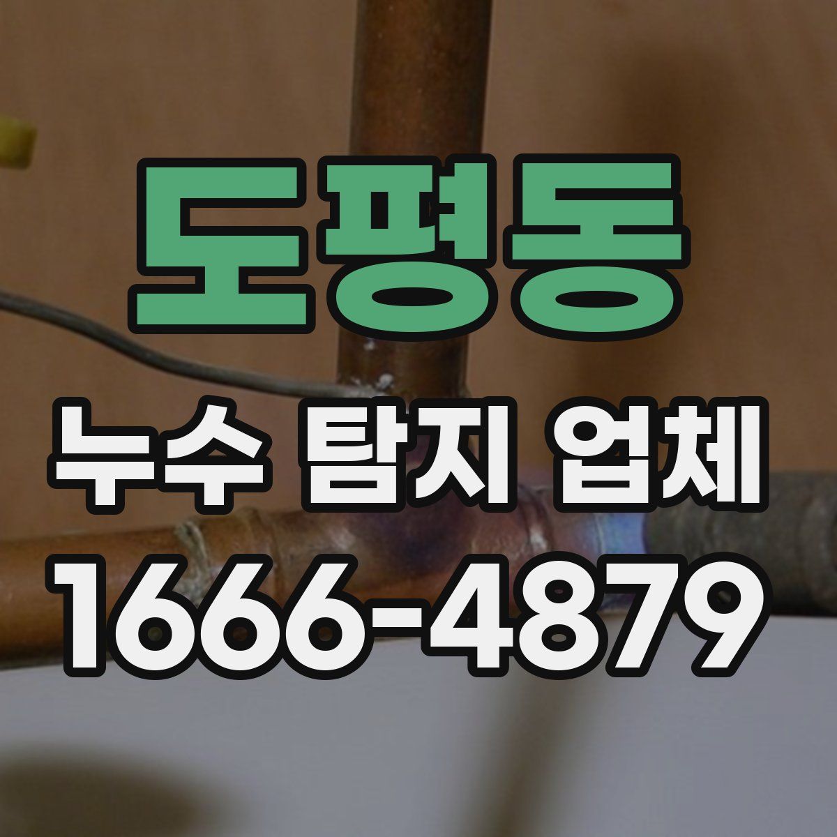 도평동 누수 탐지 업체