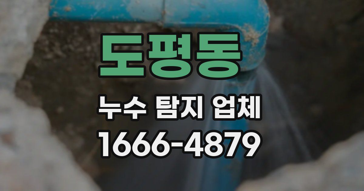 도평동 누수 탐지 업체