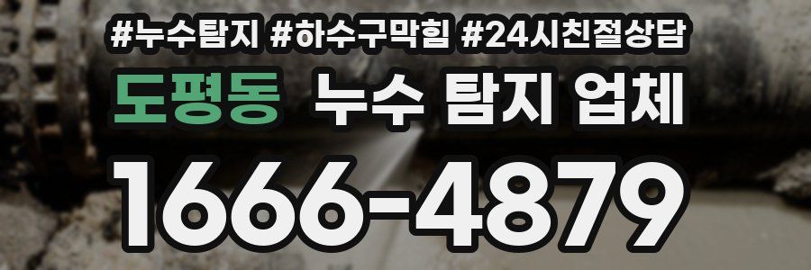 도평동 누수 탐지 업체