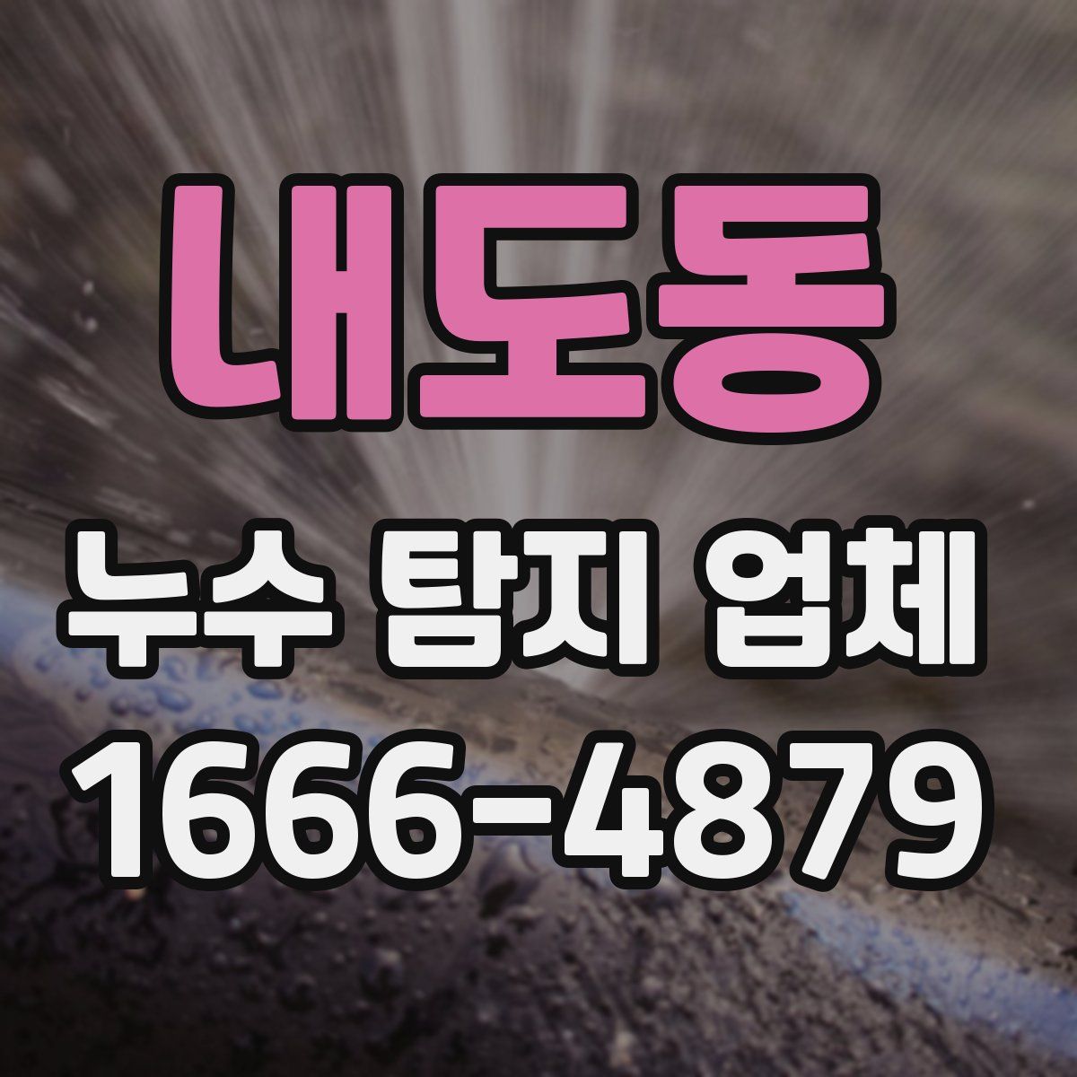 내도동 누수 탐지 업체