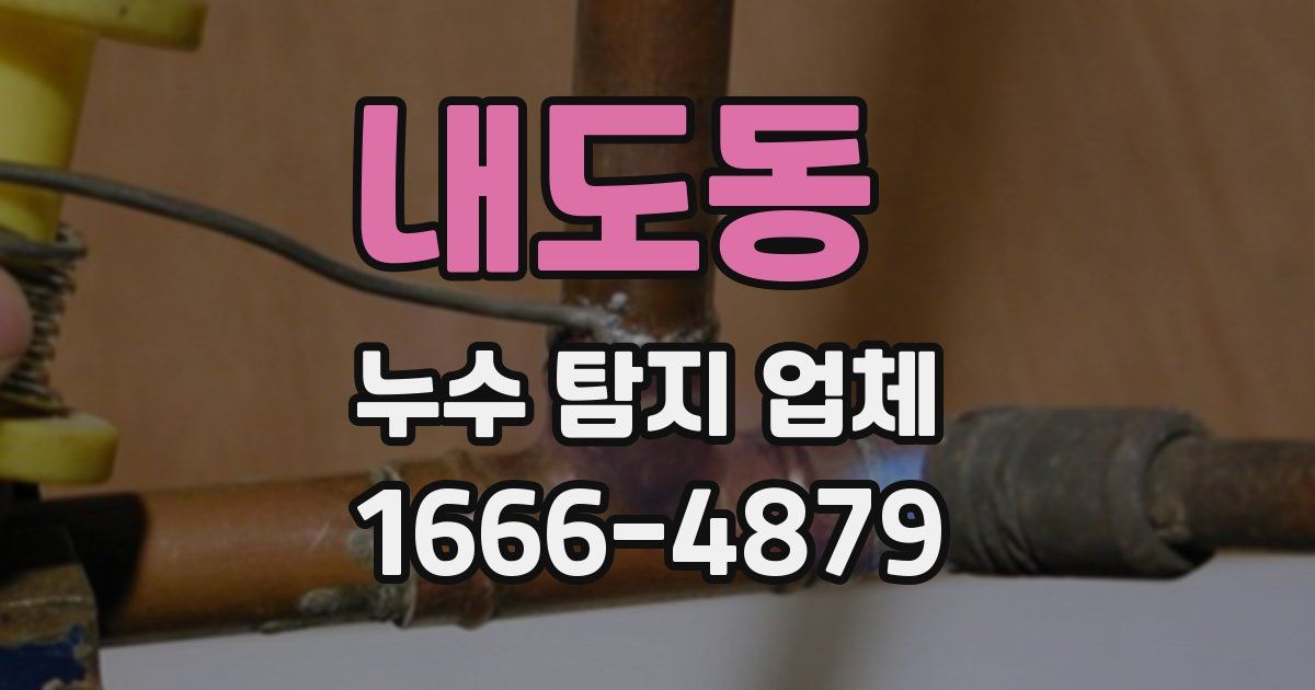 내도동 누수 탐지 업체