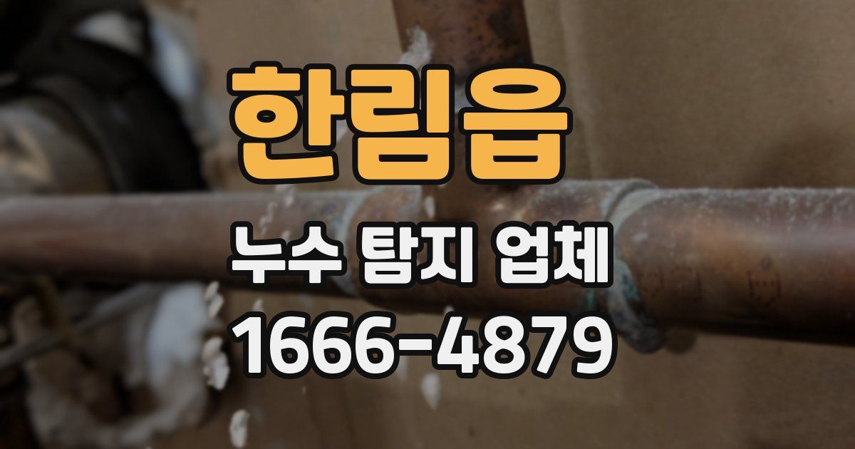 한림읍 누수 탐지 업체