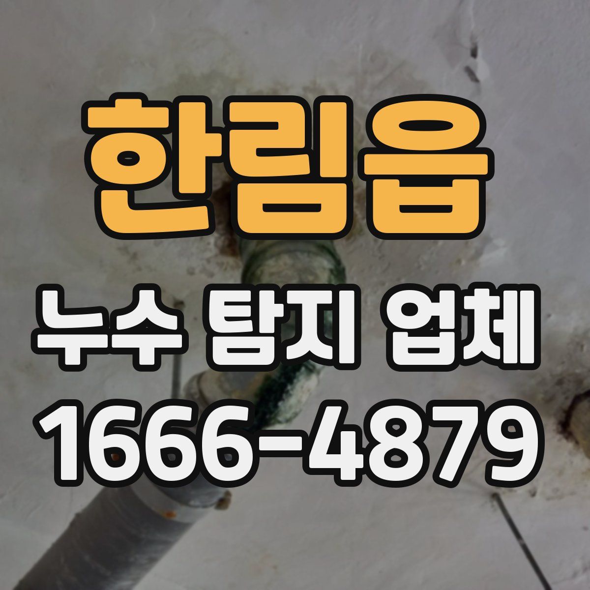 한림읍 누수 탐지 업체