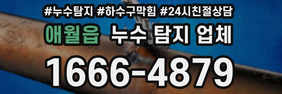 애월읍 누수 탐지 업체