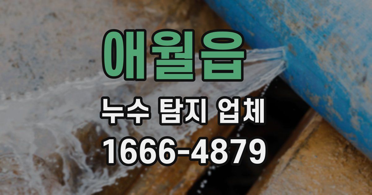 애월읍 누수 탐지 업체