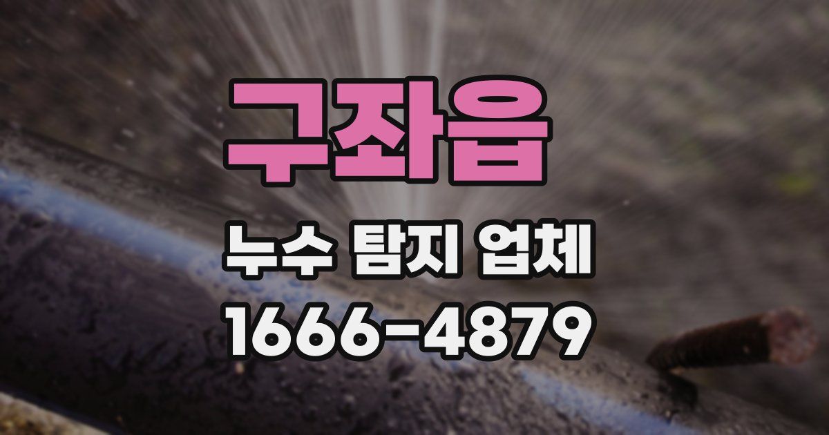 구좌읍 누수 탐지 업체