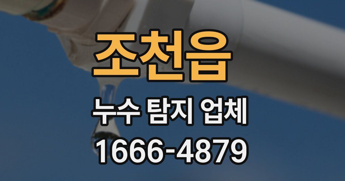 조천읍 누수 탐지 업체