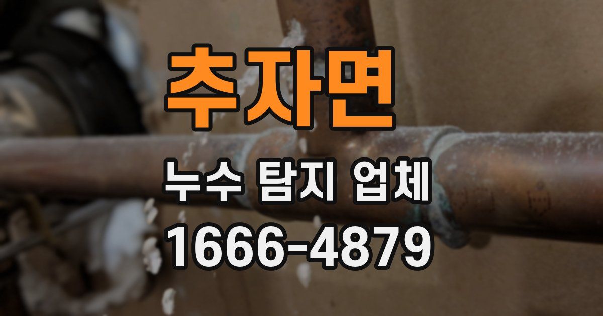 추자면 누수 탐지 업체