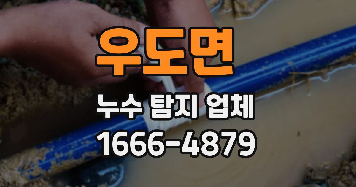 우도면 누수 탐지 업체