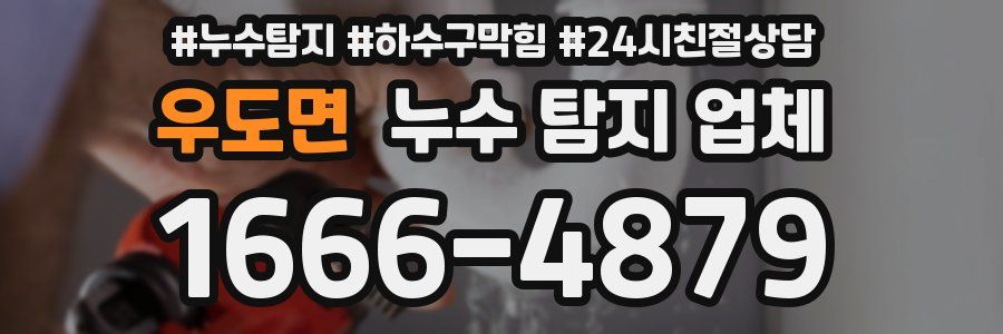 우도면 누수 탐지 업체
