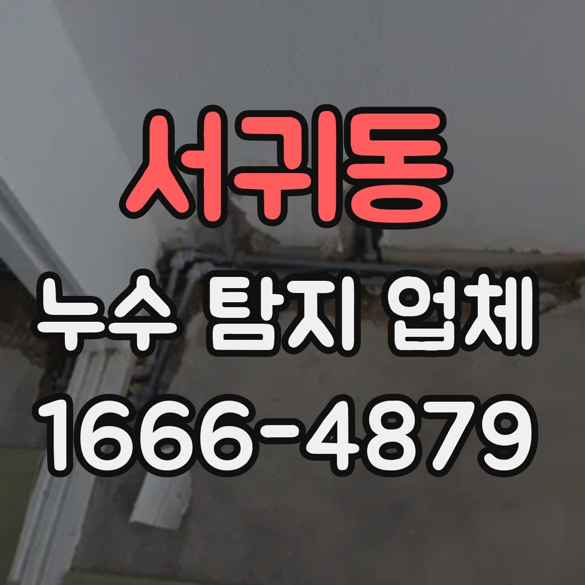 서귀동 누수 탐지 업체