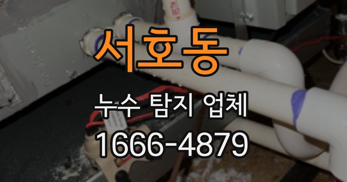 서호동 누수 탐지 업체