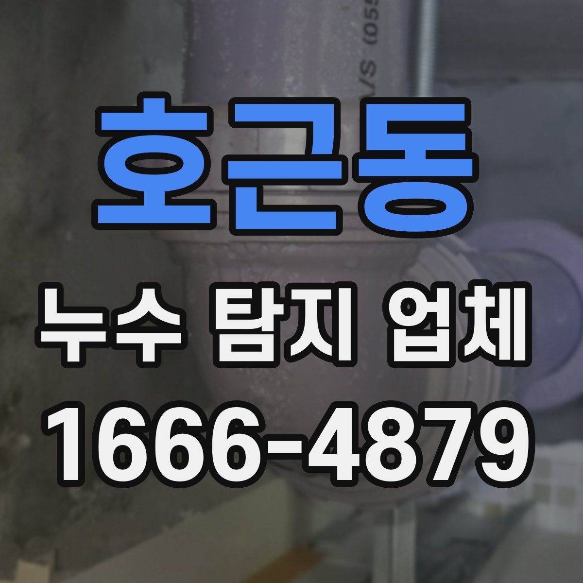 호근동 누수 탐지 업체