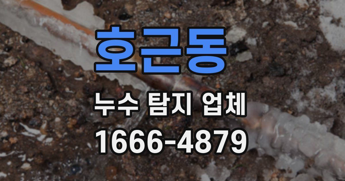 호근동 누수 탐지 업체