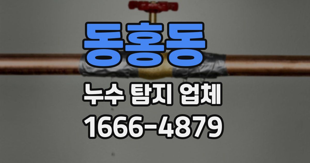 동홍동 누수 탐지 업체
