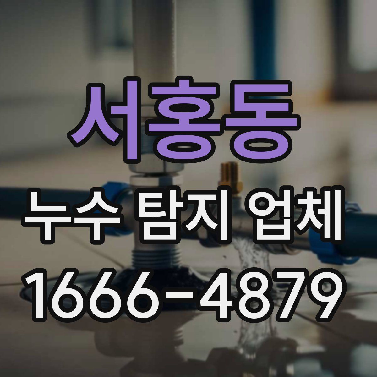 서홍동 누수 탐지 업체