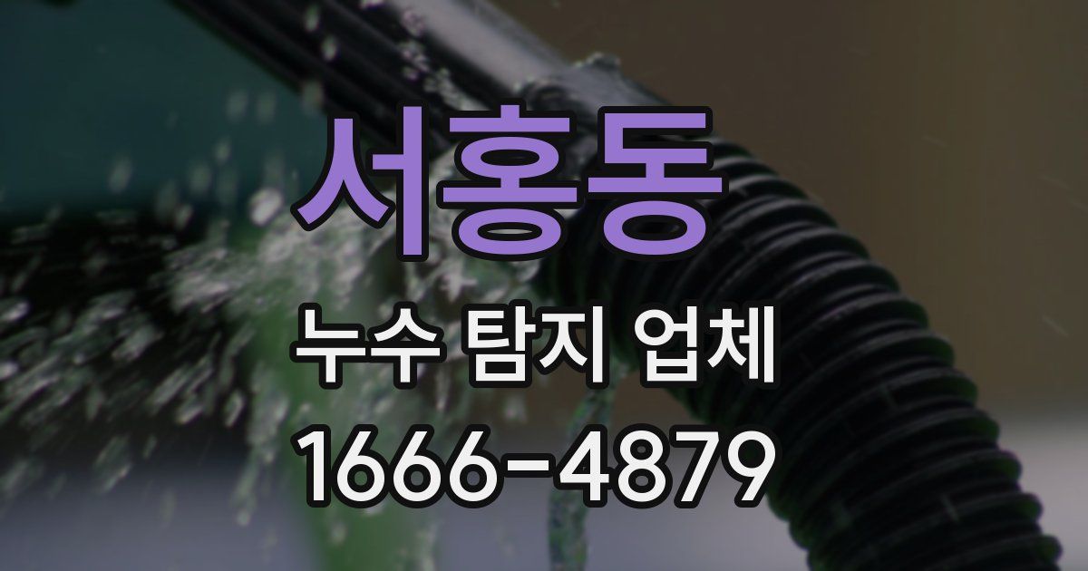 서홍동 누수 탐지 업체