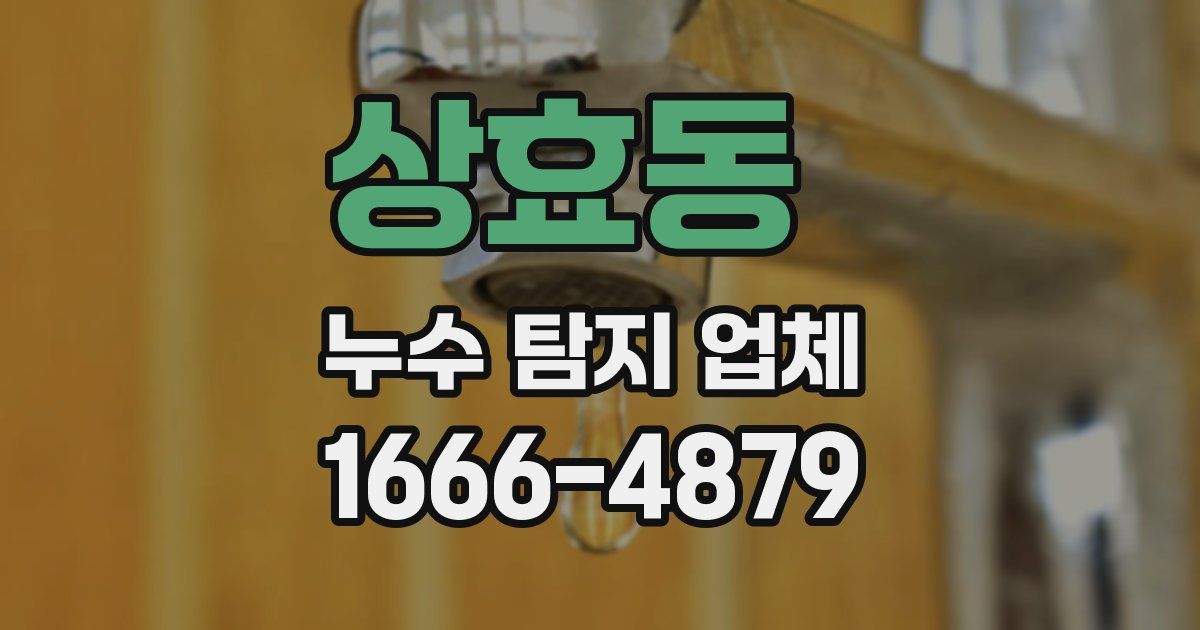 상효동 누수 탐지 업체