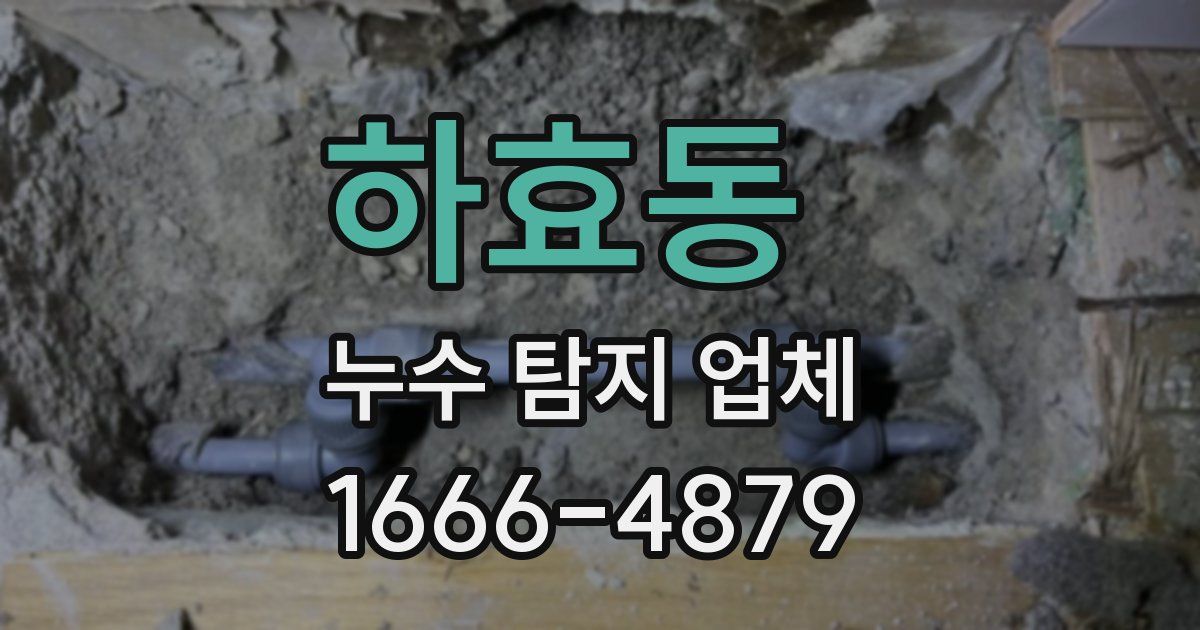 하효동 누수 탐지 업체