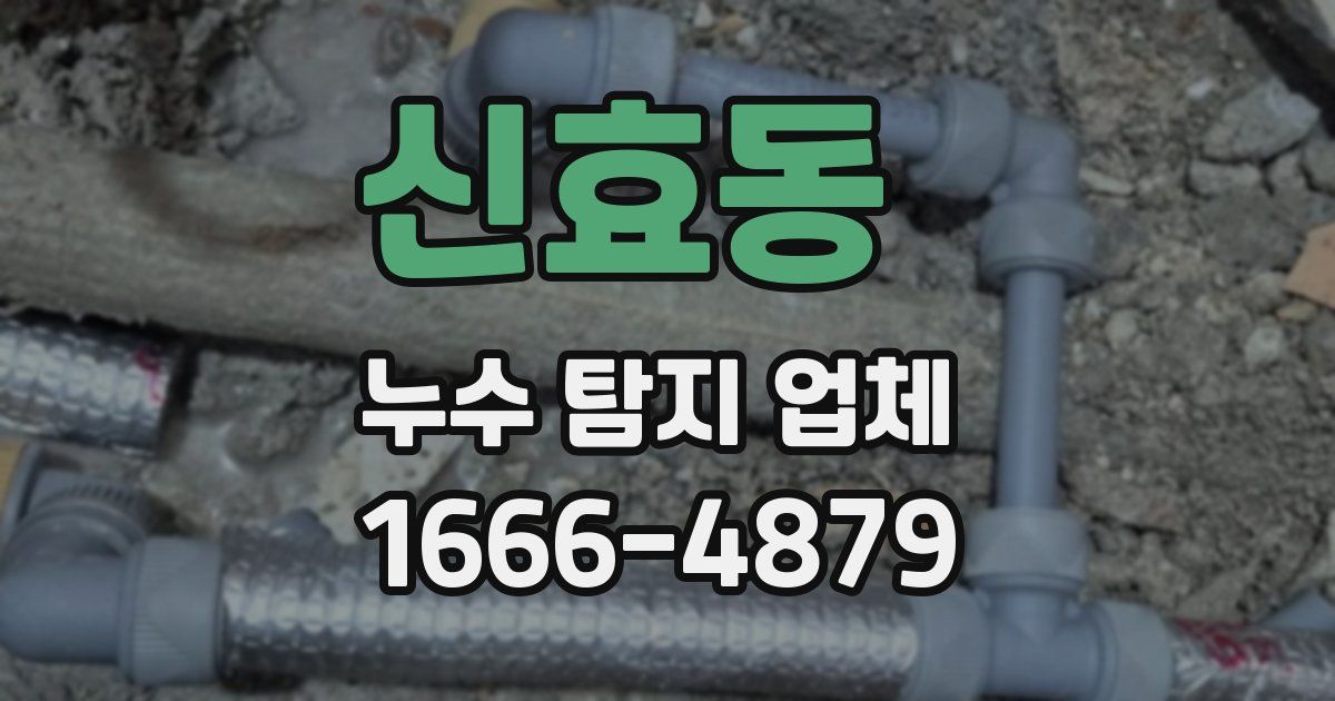 신효동 누수 탐지 업체