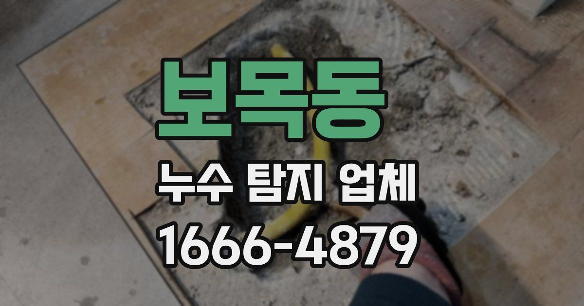 보목동 누수 탐지 업체