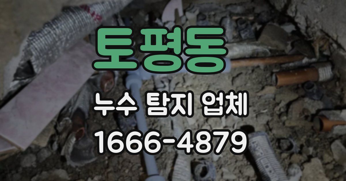 토평동 누수 탐지 업체