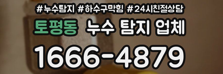 토평동 누수 탐지 업체
