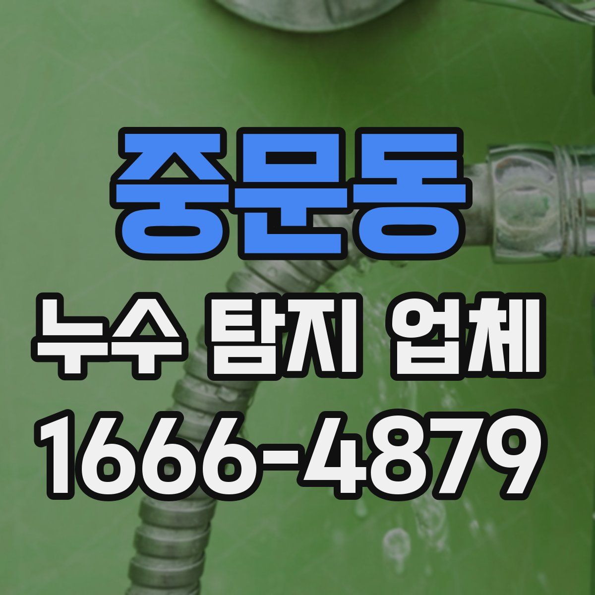 중문동 누수 탐지 업체