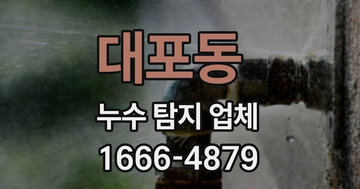 대포동 누수 탐지 업체