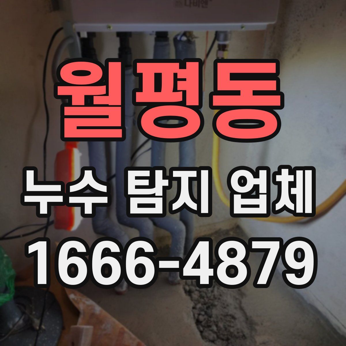 월평동 누수 탐지 업체
