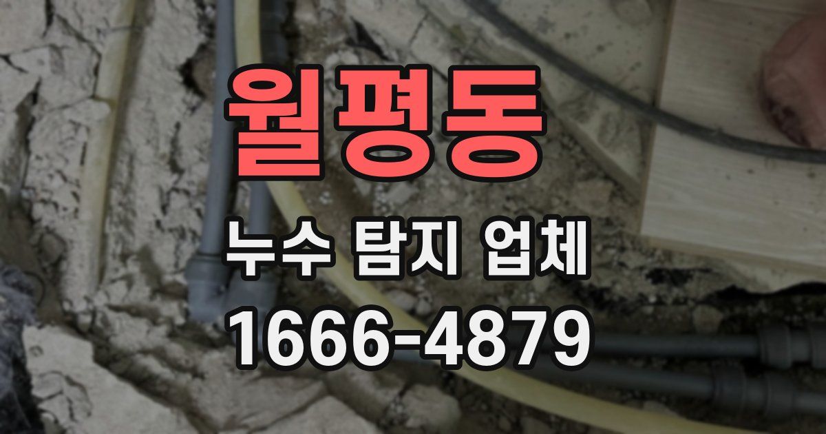 월평동 누수 탐지 업체