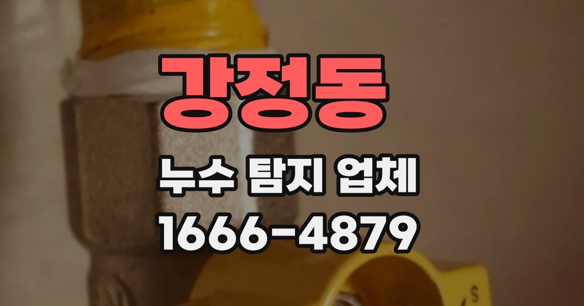 강정동 누수 탐지 업체