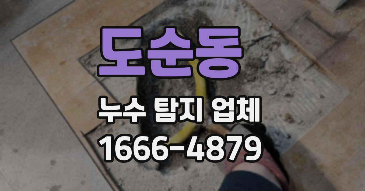 도순동 누수 탐지 업체