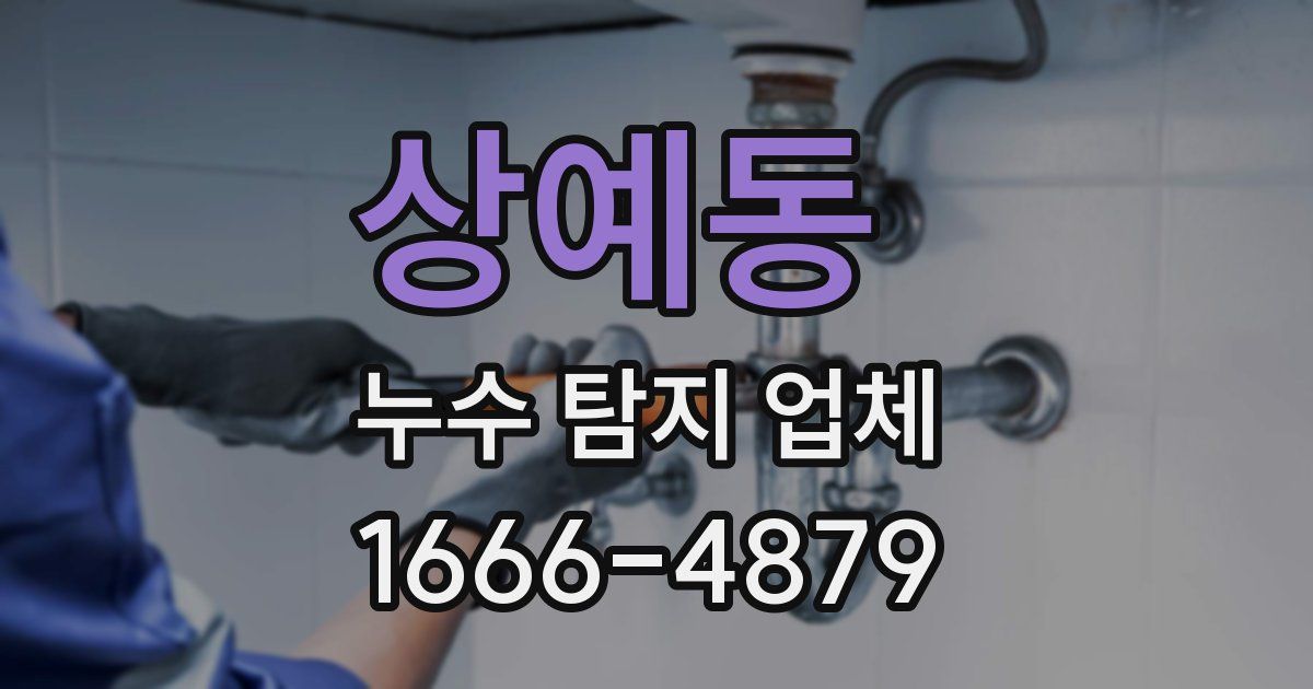 상예동 누수 탐지 업체