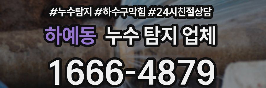하예동 누수 탐지 업체