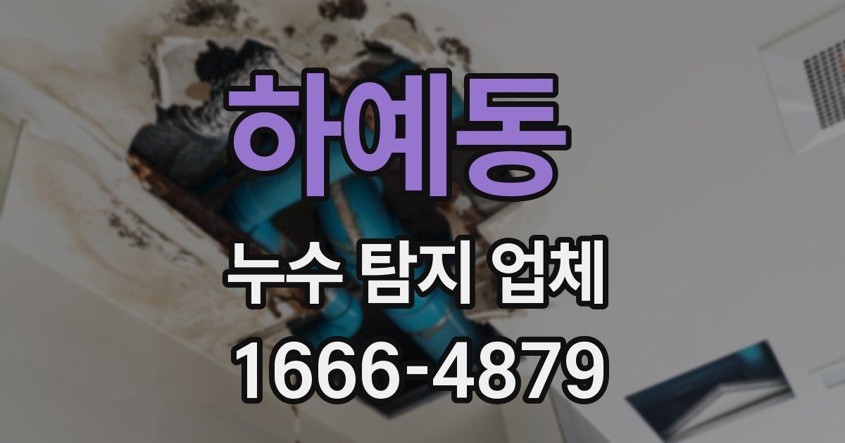 하예동 누수 탐지 업체