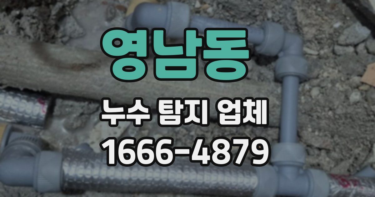 영남동 누수 탐지 업체
