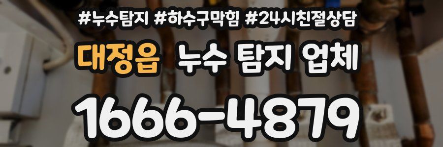 대정읍 누수 탐지 업체