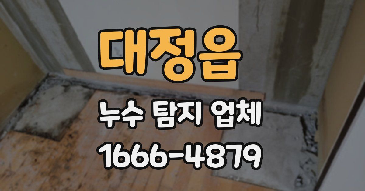 대정읍 누수 탐지 업체