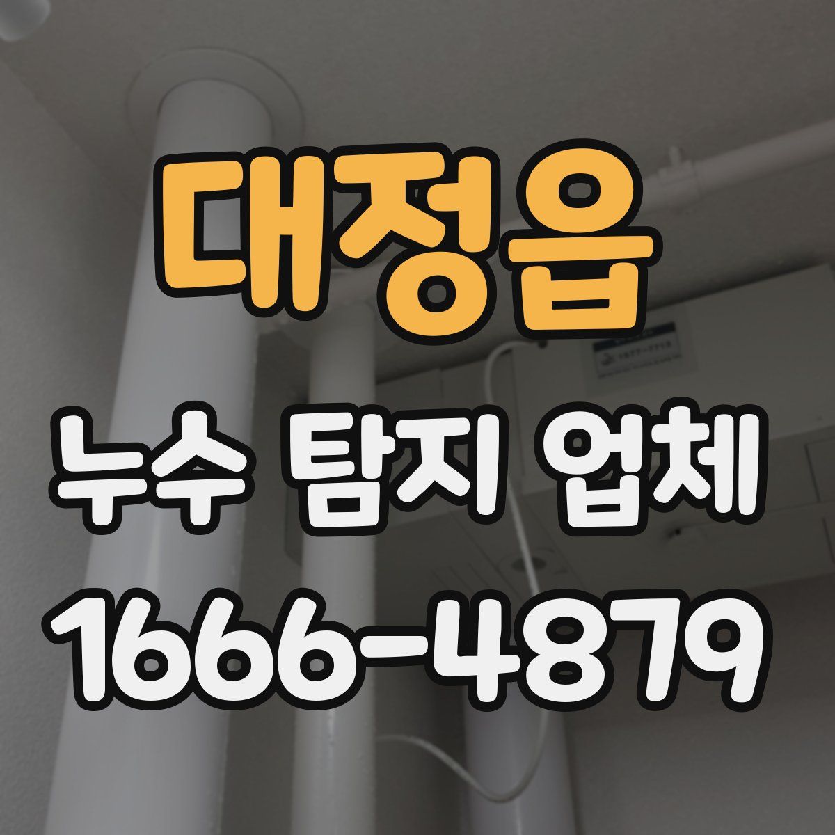 대정읍 누수 탐지 업체