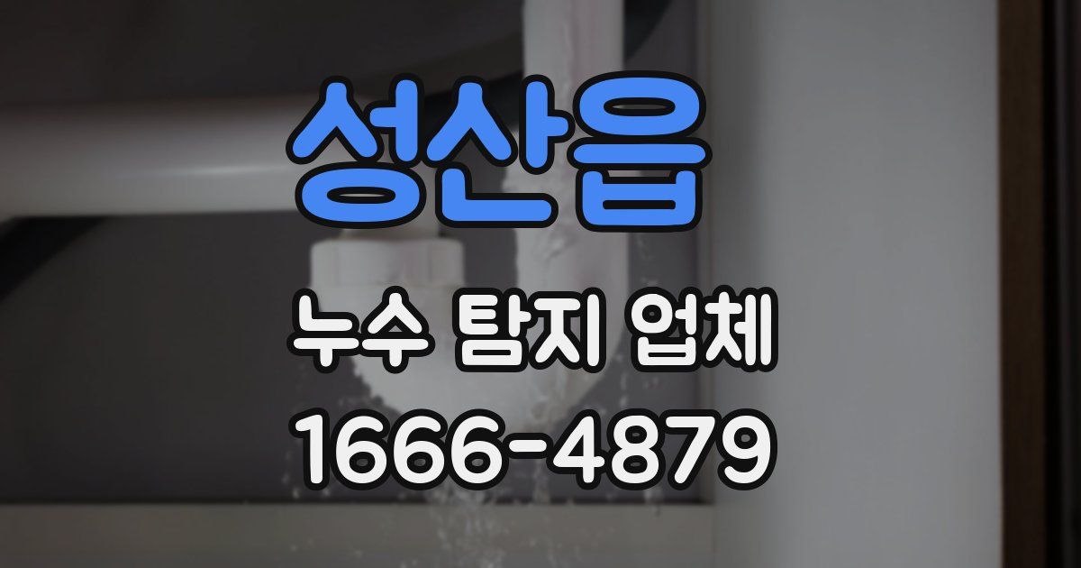 성산읍 누수 탐지 업체