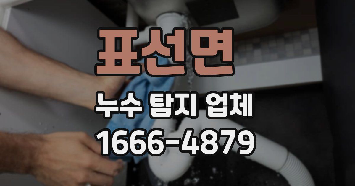 표선면 누수 탐지 업체