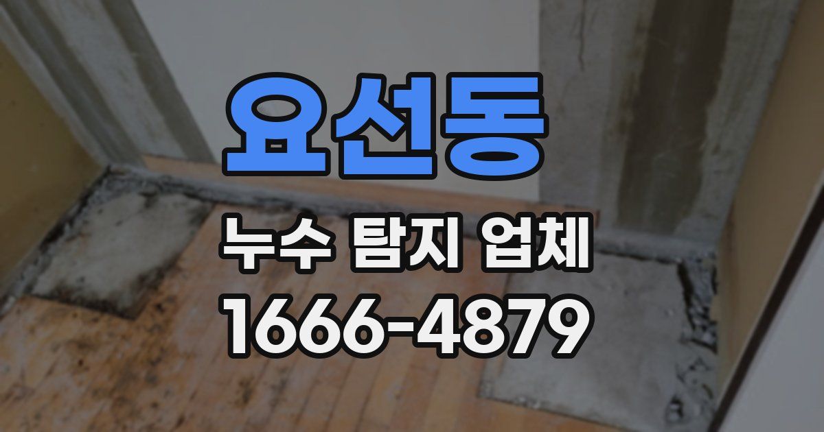 요선동 누수 탐지 업체