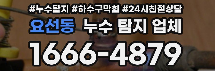 요선동 누수 탐지 업체