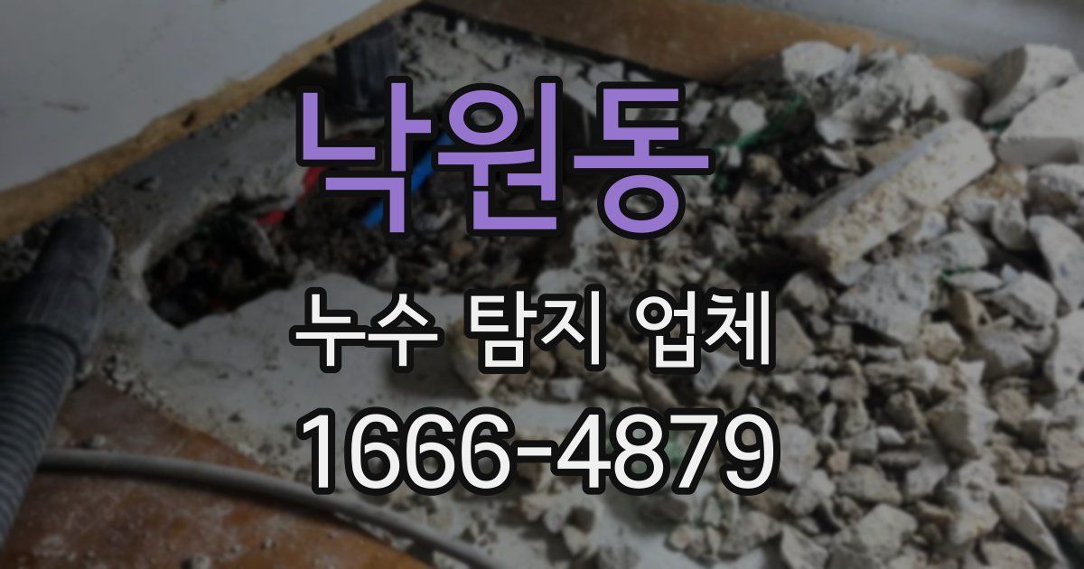 낙원동 누수 탐지 업체