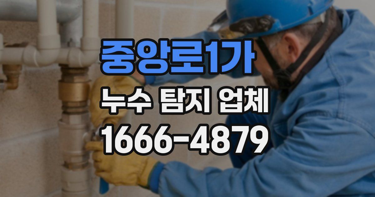 중앙로1가 누수 탐지 업체