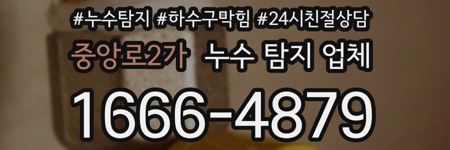 중앙로2가 누수 탐지 업체