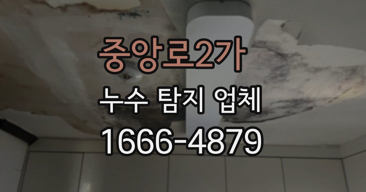 중앙로2가 누수 탐지 업체