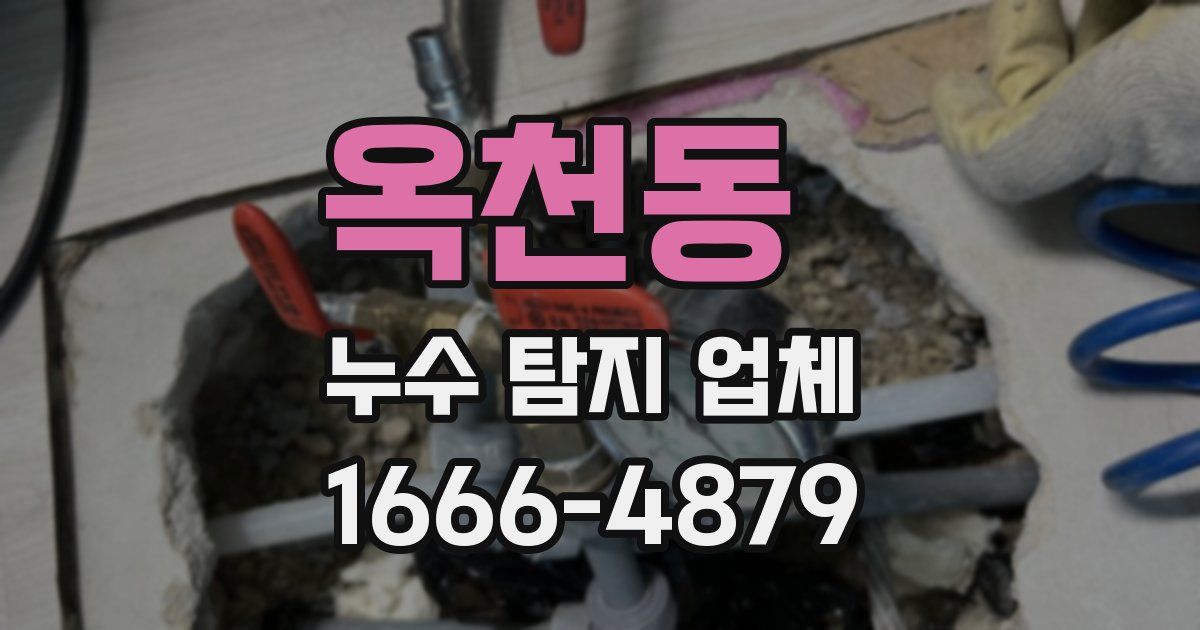 옥천동 누수 탐지 업체